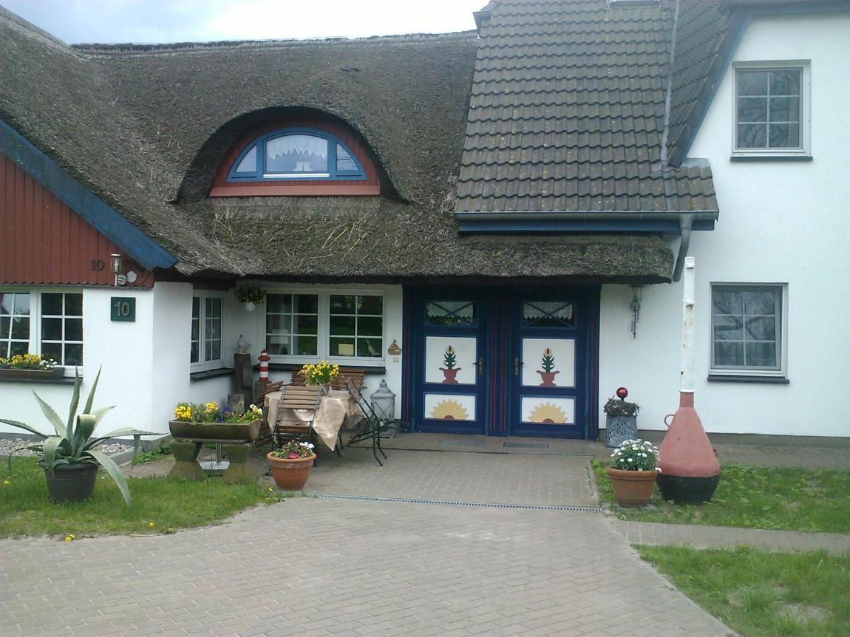 Pension Martens - Gaubenwohnung Wieck Exterior foto